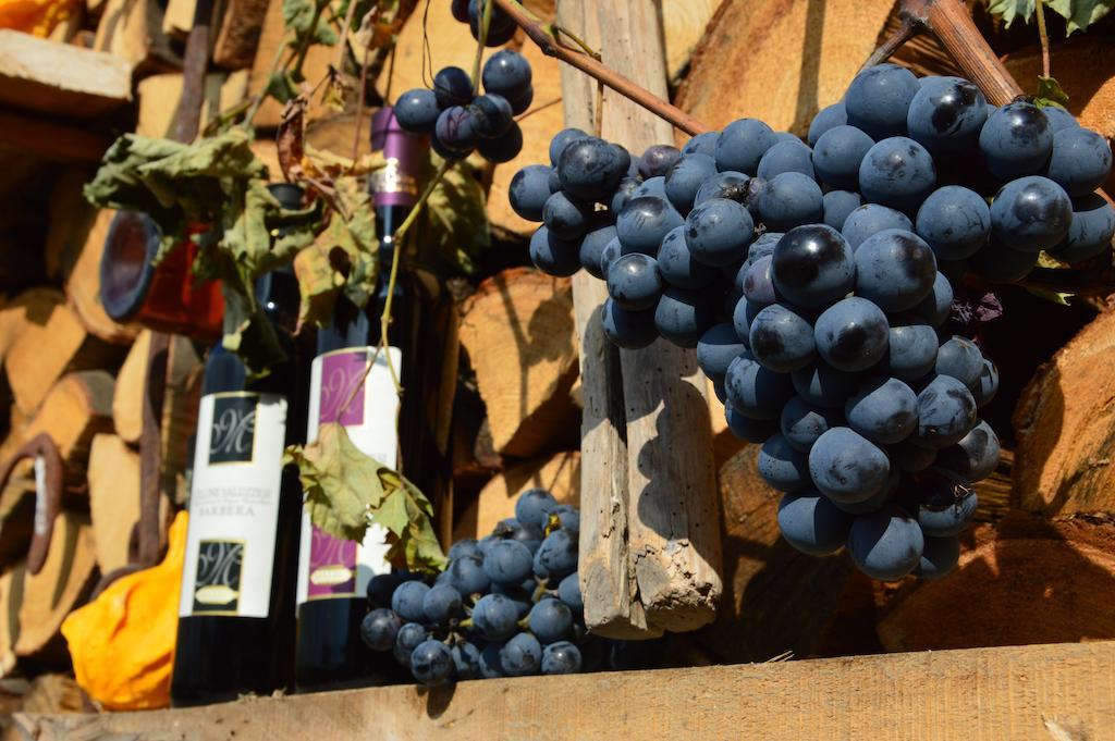 Willa Agriturismo Il Nido Di Bacco Saluzzo Zewnętrze zdjęcie